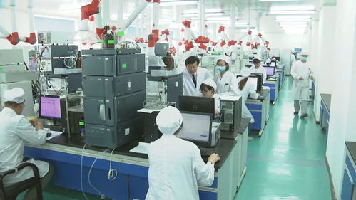 吉林創(chuàng)新指數(shù)躍升全國(guó)第一，科技強(qiáng)國(guó)戰(zhàn)略下的東北振興新篇章